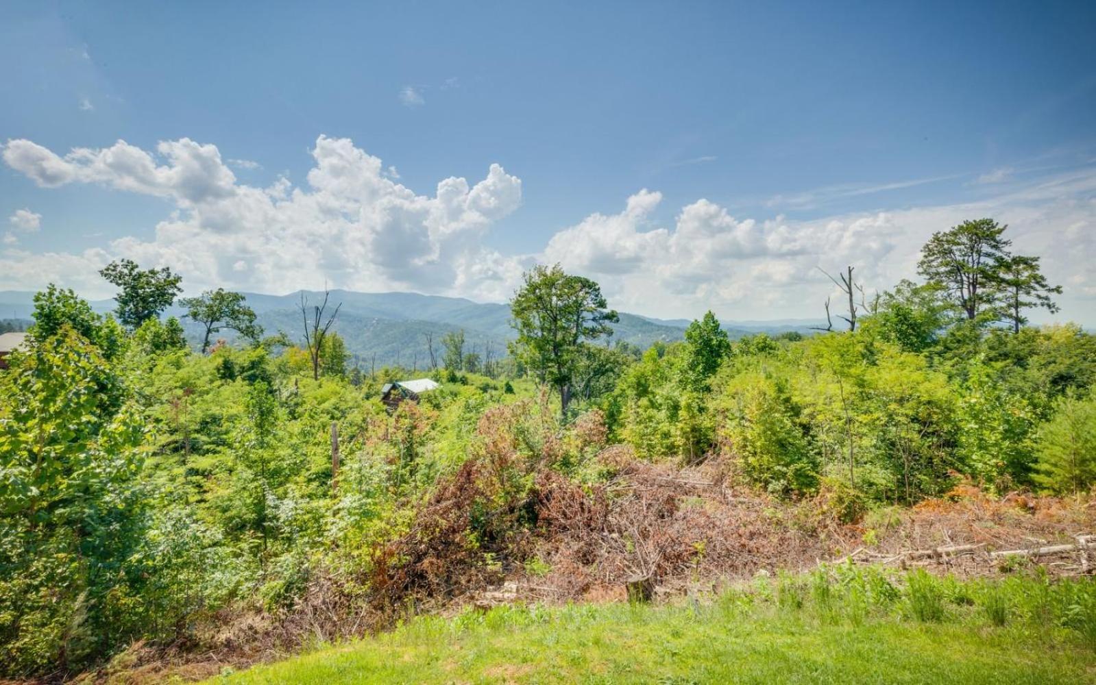 Lifes A Bear Villa Gatlinburg Bagian luar foto