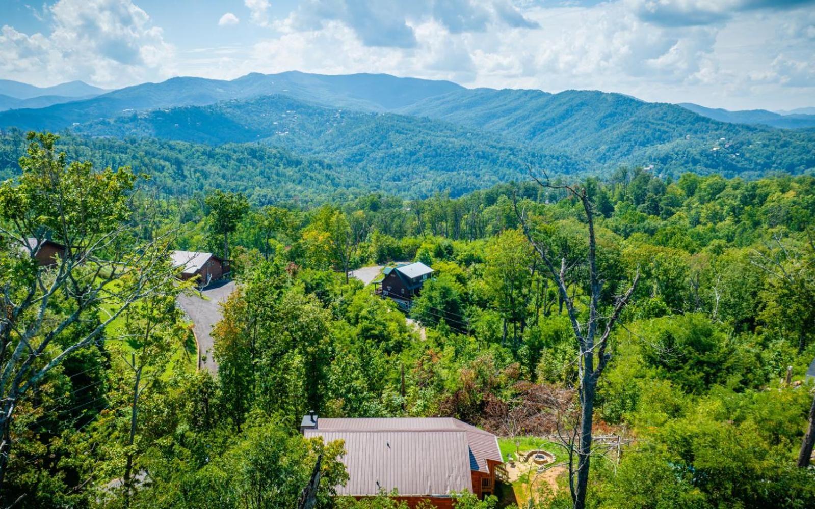 Lifes A Bear Villa Gatlinburg Bagian luar foto