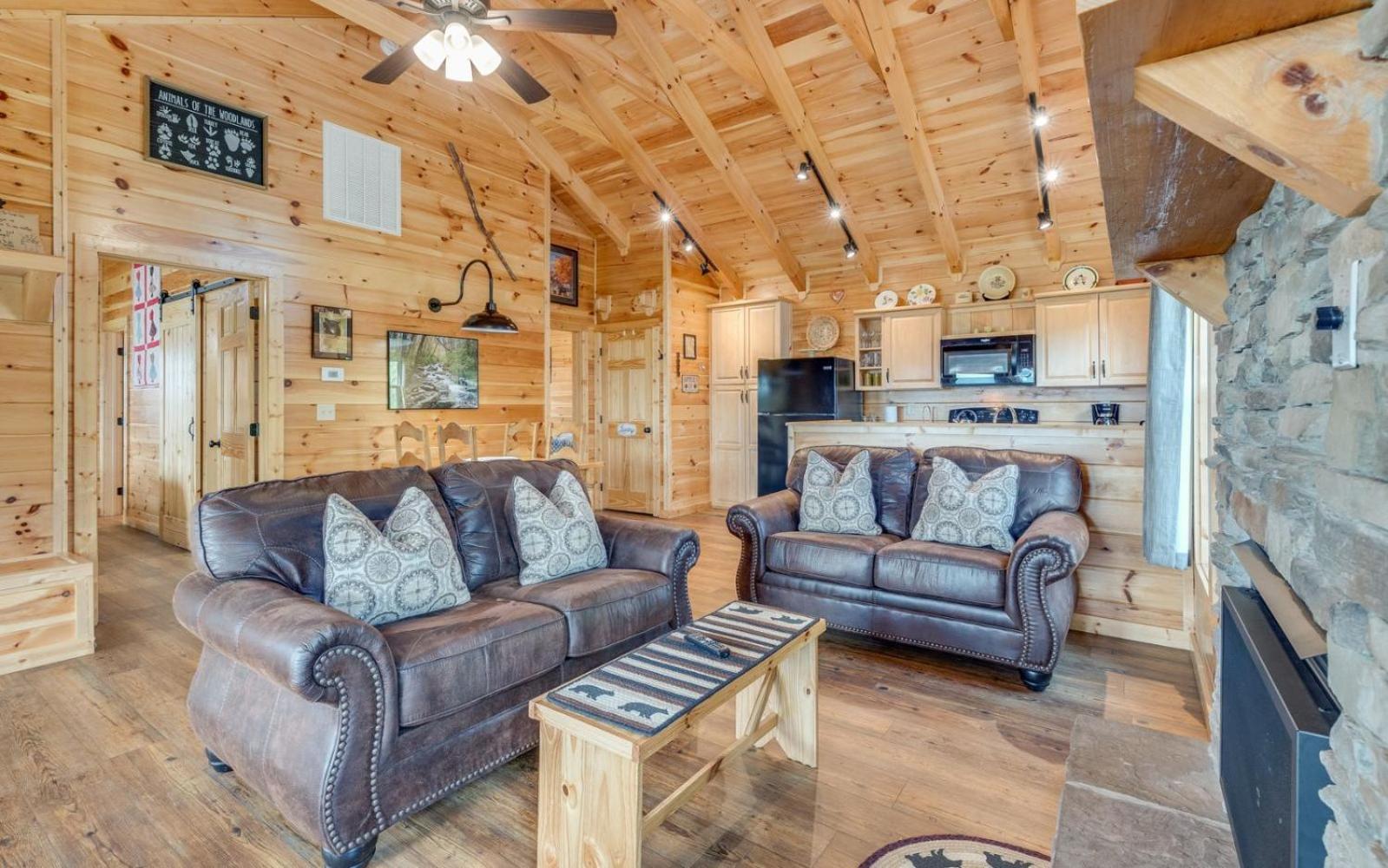 Lifes A Bear Villa Gatlinburg Bagian luar foto
